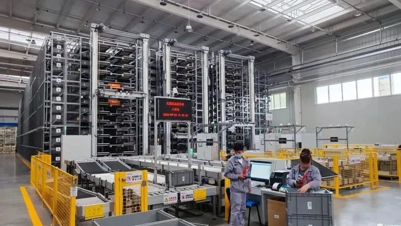 水果塑料周转箱常用尺寸解析：如何选择合适的规格